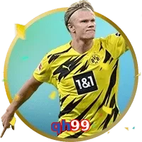 qh99