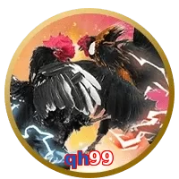 qh99